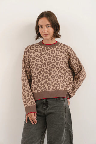 Sweater Print