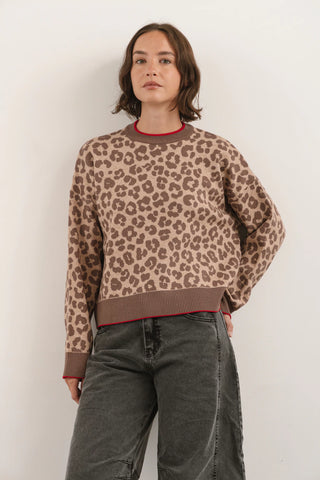 Sweater Print